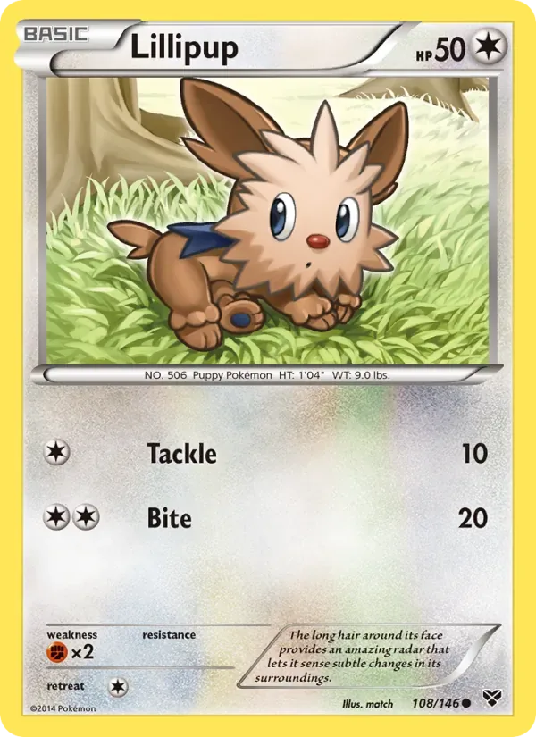 Lillipup, XY