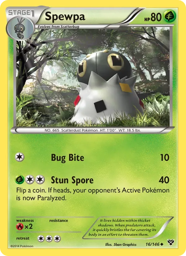 Spewpa, XY