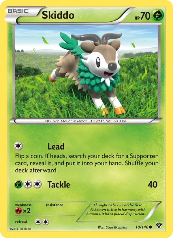 Skiddo, XY