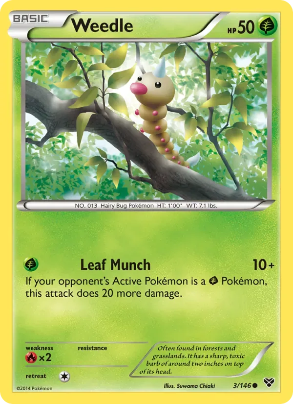 Weedle, XY