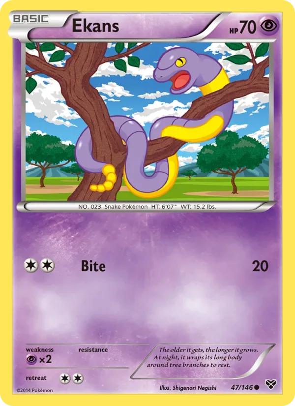 Ekans, XY