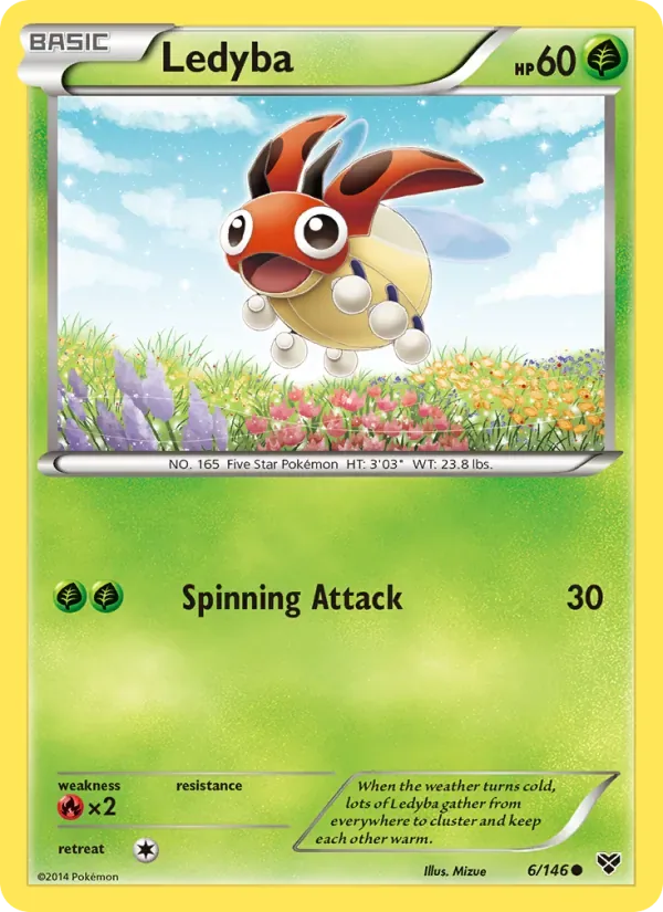 Ledyba, XY