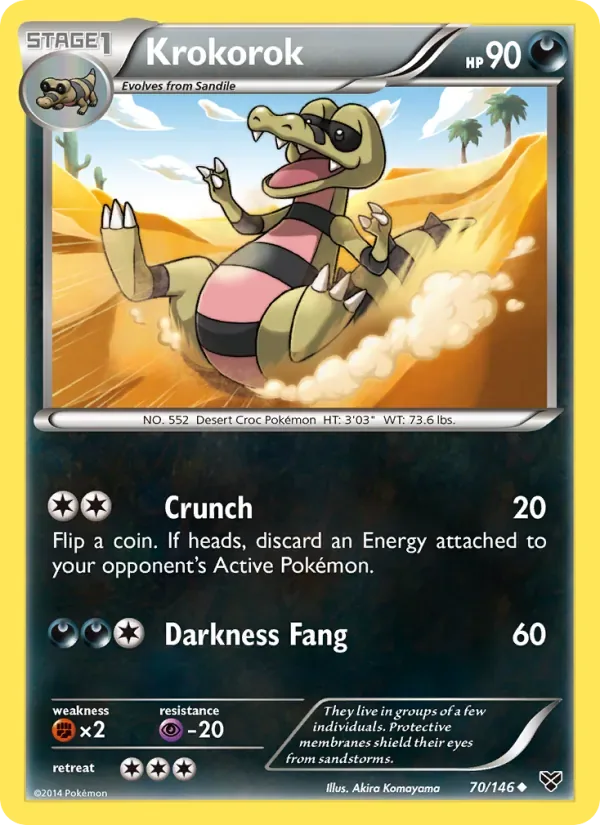 Krokorok, XY