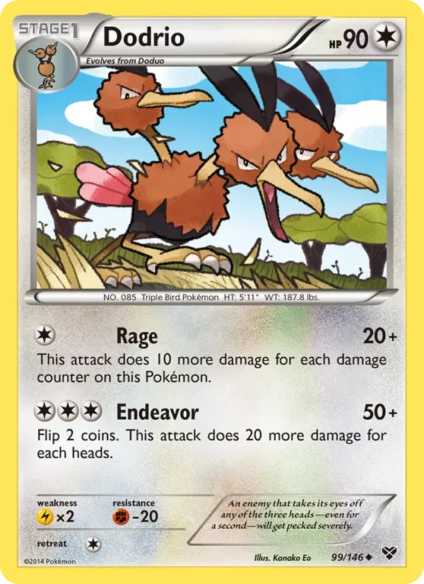 Dodrio, XY