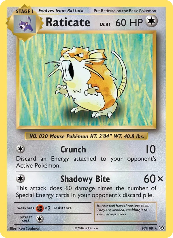 Raticate, Evolutions