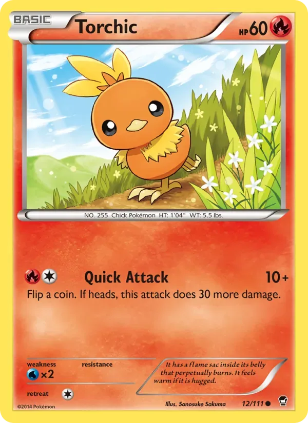 Torchic, Furious Fists
