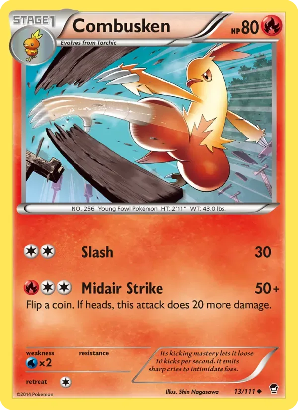Combusken, Furious Fists
