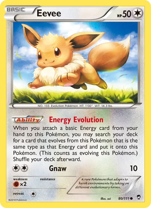 Eevee, Furious Fists