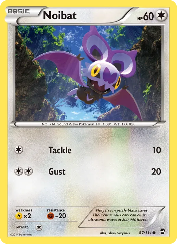 Noibat, Furious Fists