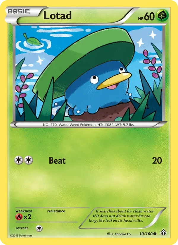 Lotad, Primal Clash