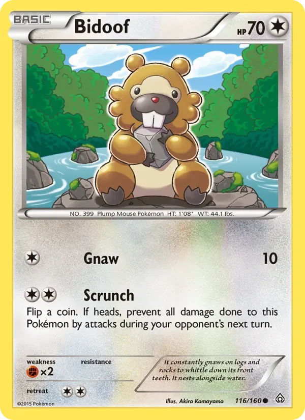 Bidoof, Primal Clash
