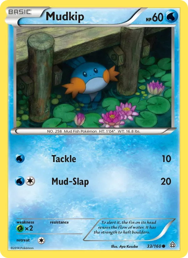 Mudkip, Primal Clash