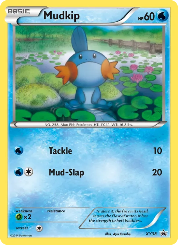 Mudkip, XY Black Star Promos