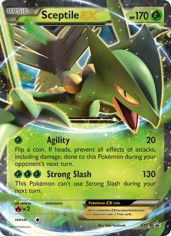Sceptile EX, XY Black Star Promos