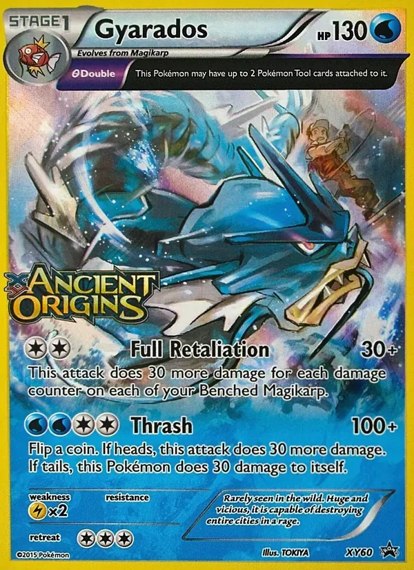 Gyarados, XY Black Star Promos